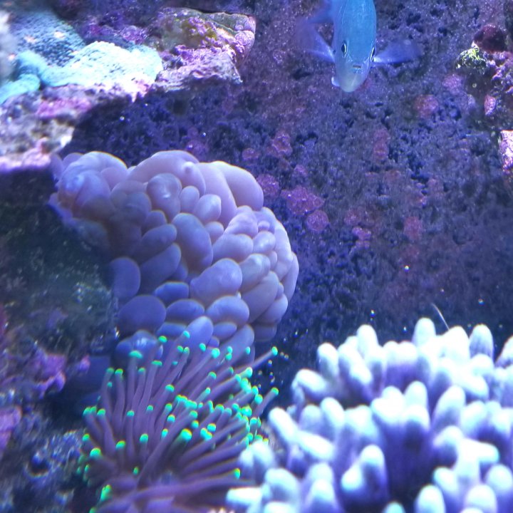 20210105_132417.jpg