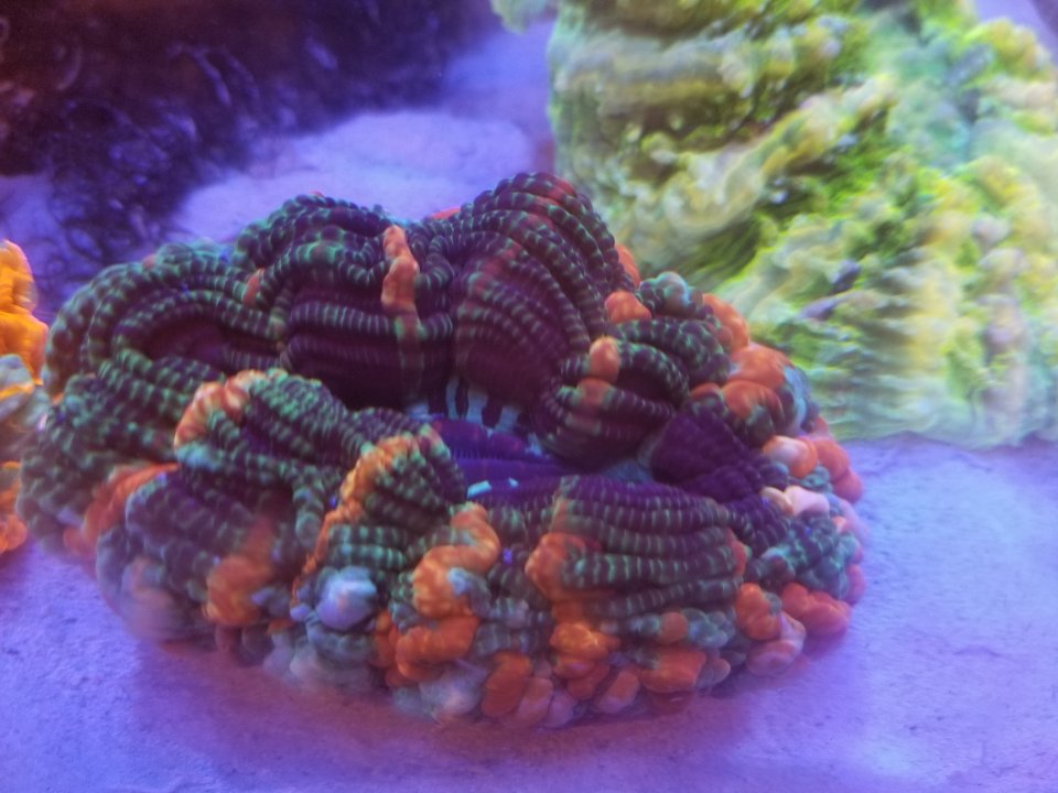 20210105_150629.jpg