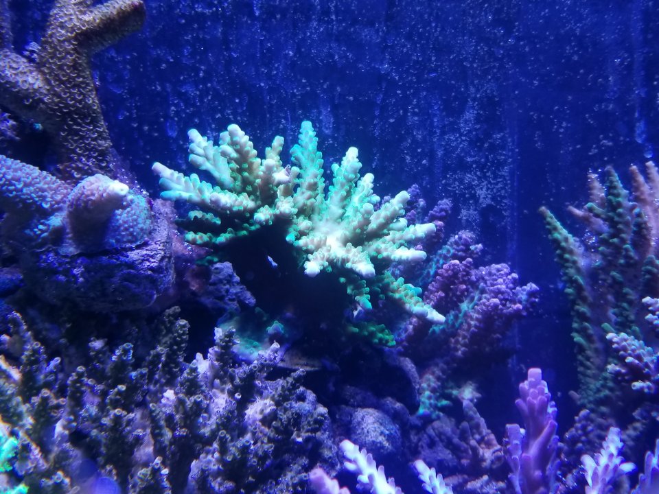 20210108_170723.jpg