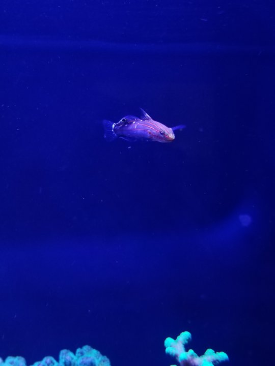 20210110_143730.jpg