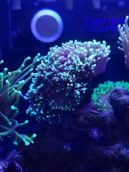 20210118_070542.jpg