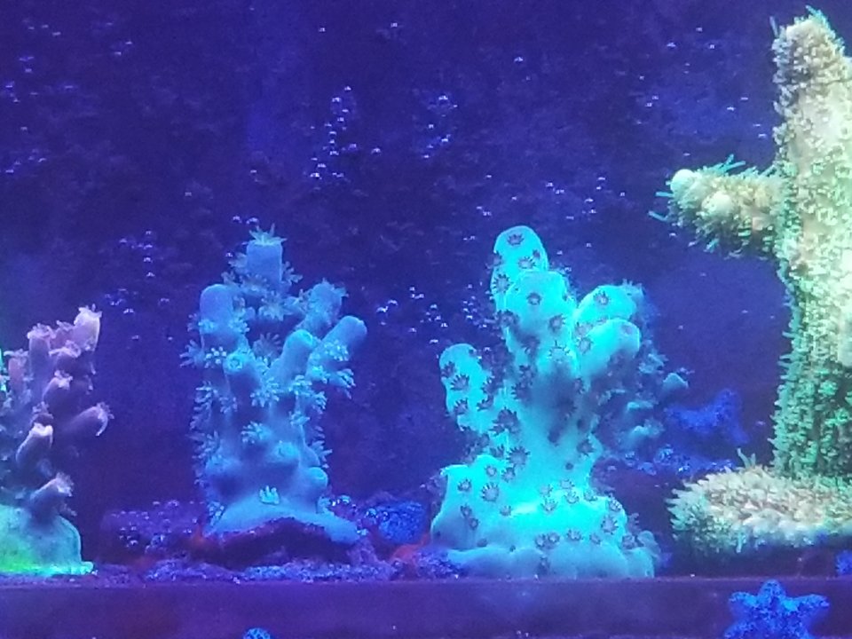 20210120_031218.jpg