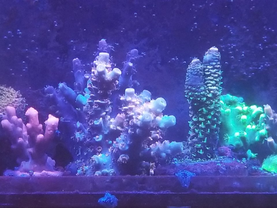 20210120_031232.jpg