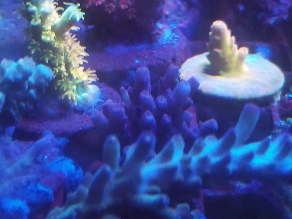 20210120_031301.jpg