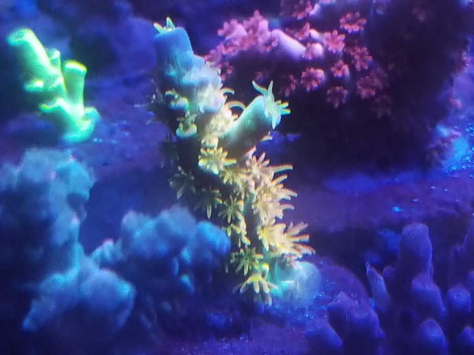 20210120_031315.jpg