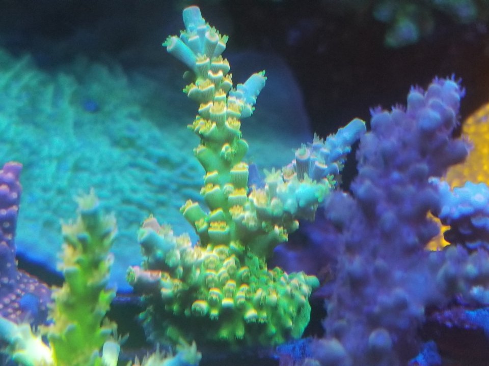 20210120_031343.jpg