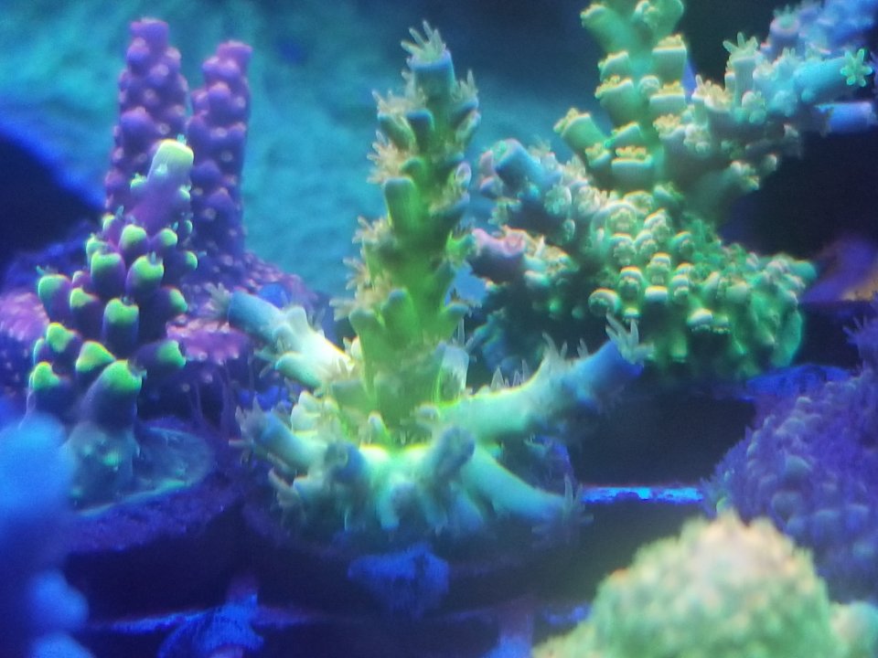 20210120_031347.jpg