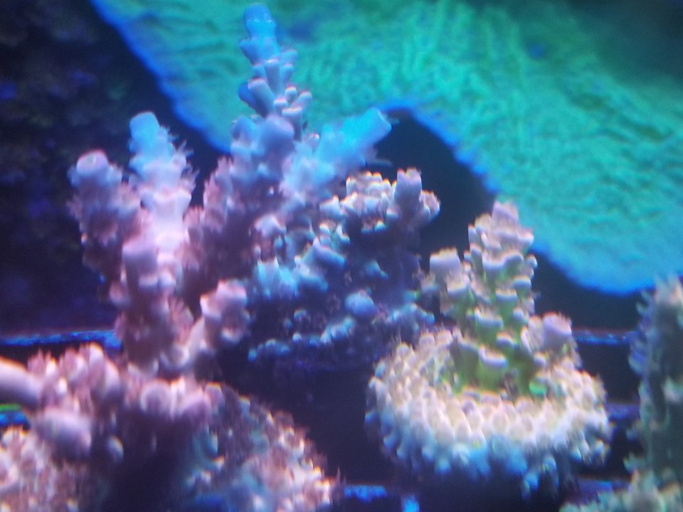 20210120_031405.jpg