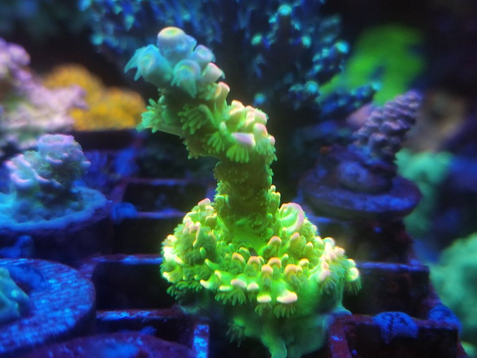 20210120_031439.jpg