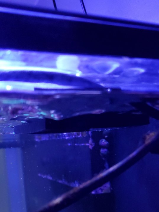 20210123_133359.jpg