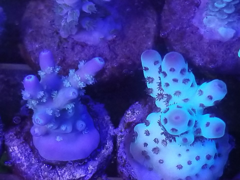 20210124_145123.jpg