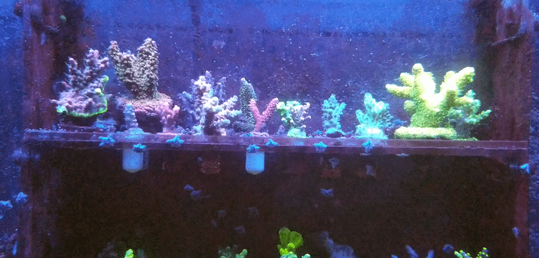 20210126_012027_1.gif