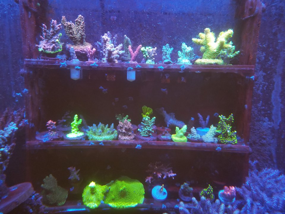 20210126_012116.jpg