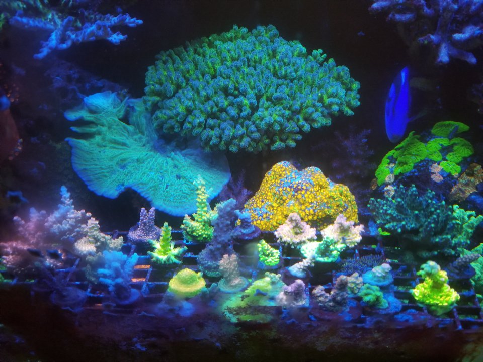 20210126_012127.jpg
