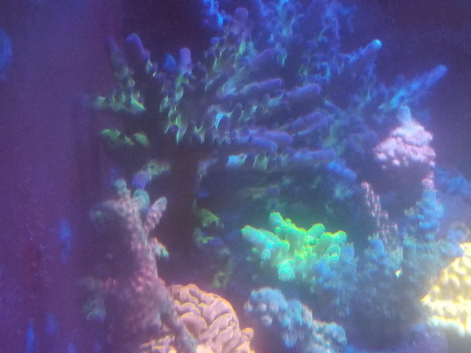 20210126_012217.jpg
