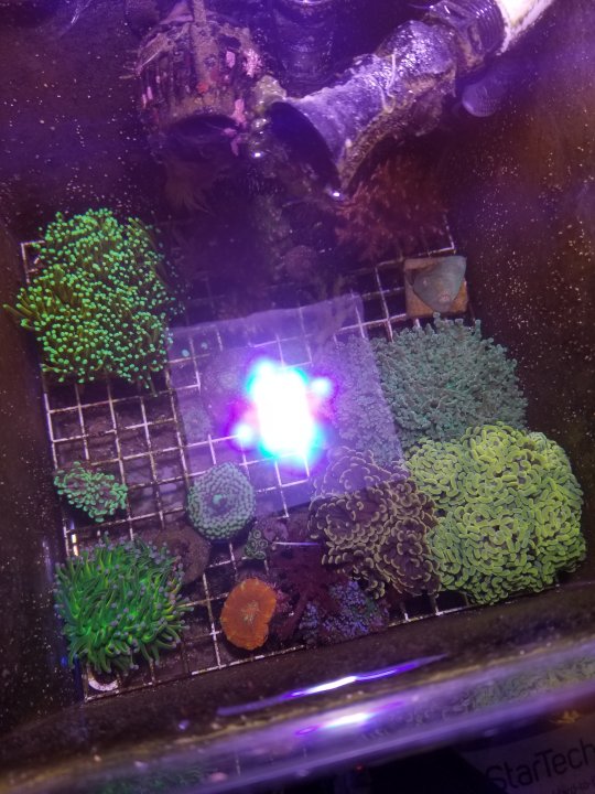 20210126_141143.jpg