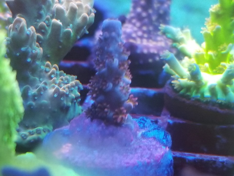 20210129_002418.jpg