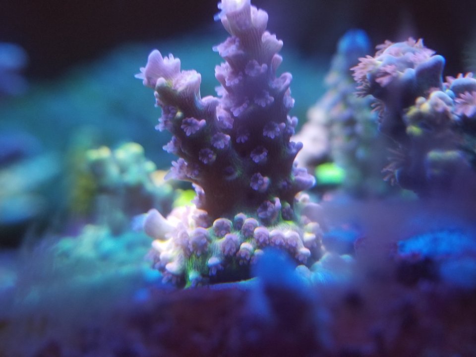 20210129_043448.jpg