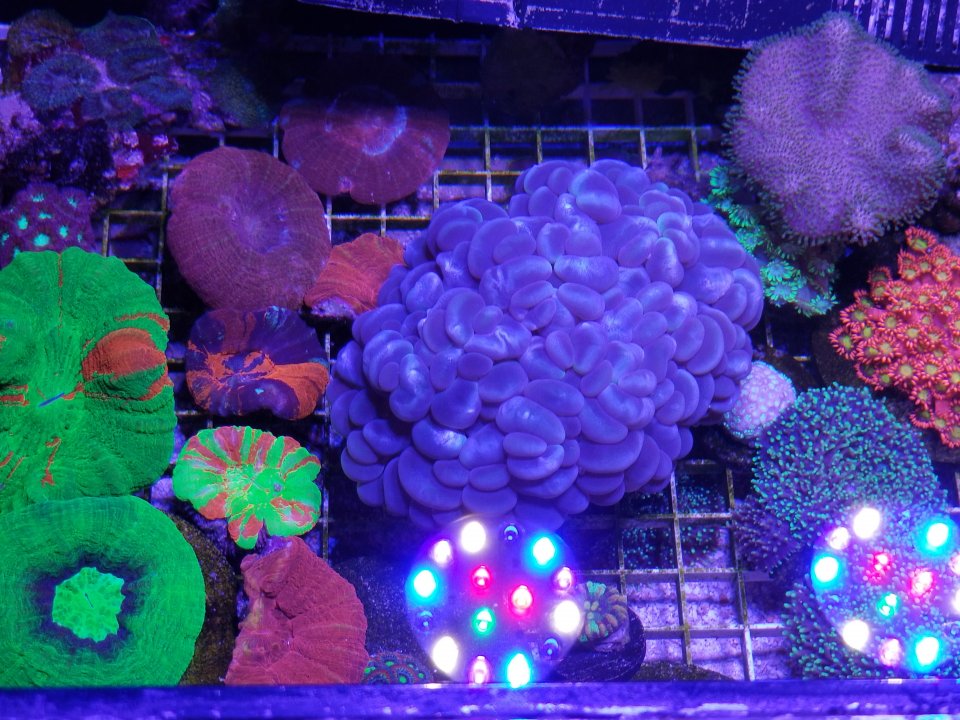 20210129_082643.jpg