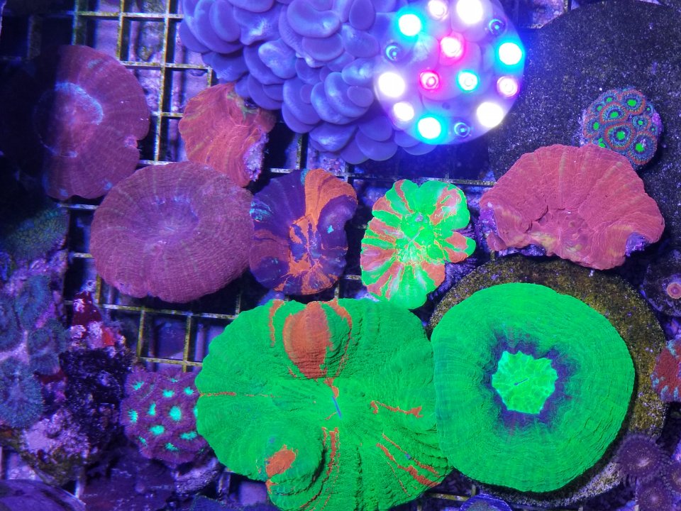 20210129_082650.jpg