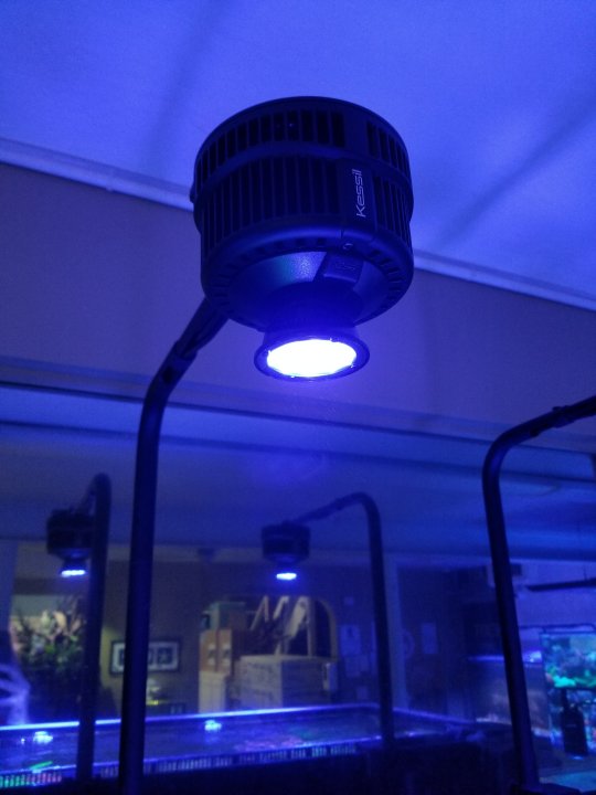 20210129_173009.jpg