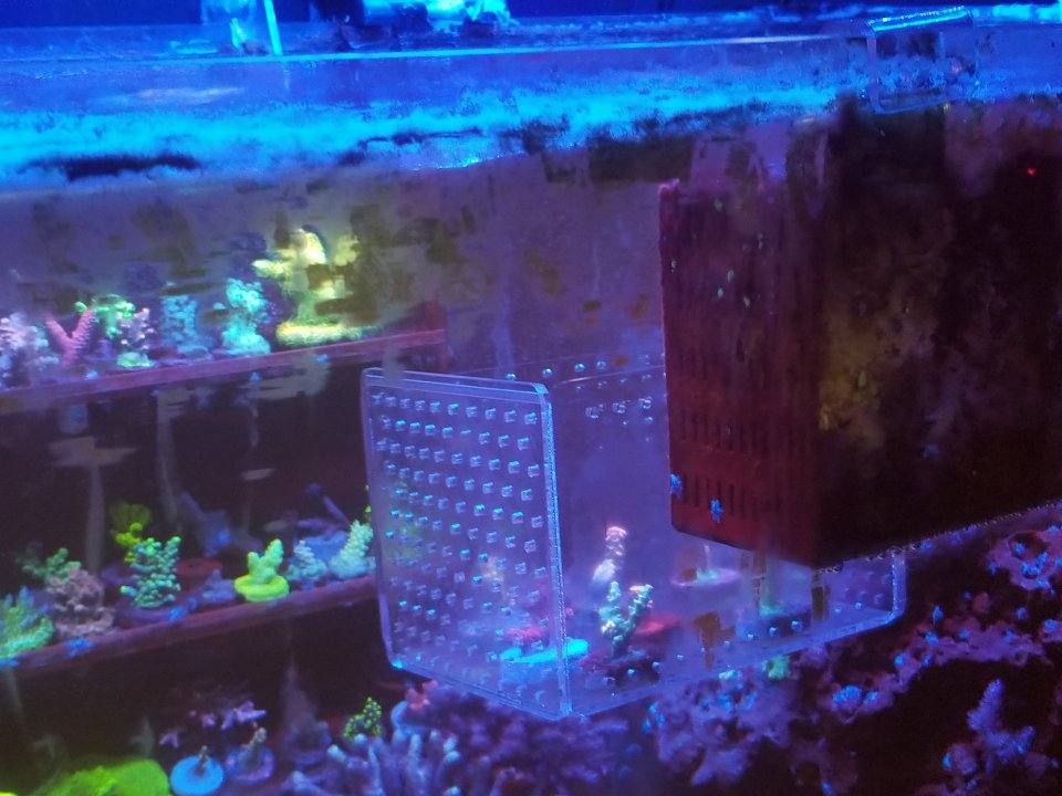 20210129_222122.jpg