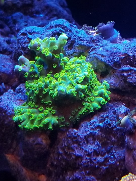 20210130_221732.jpg
