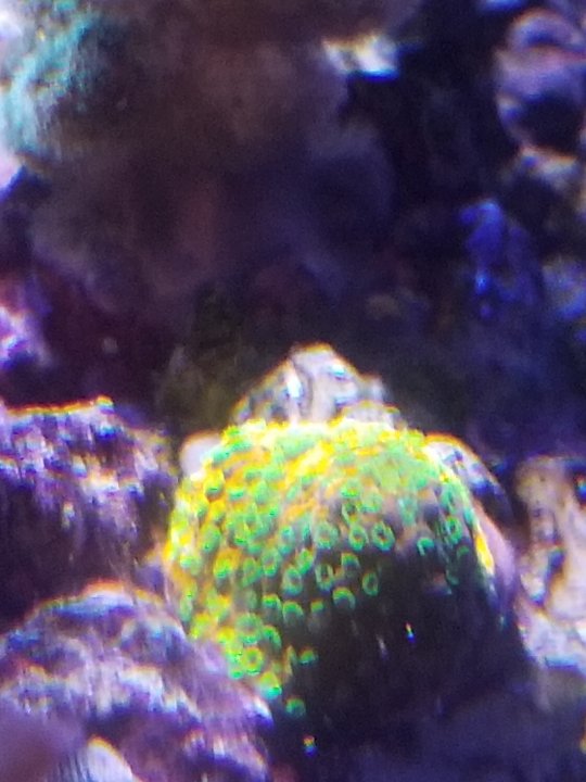 20210211_193842.jpg
