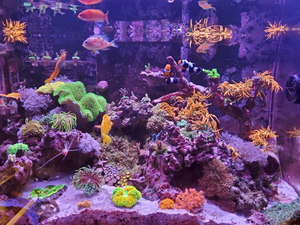 20210214_182439.jpg