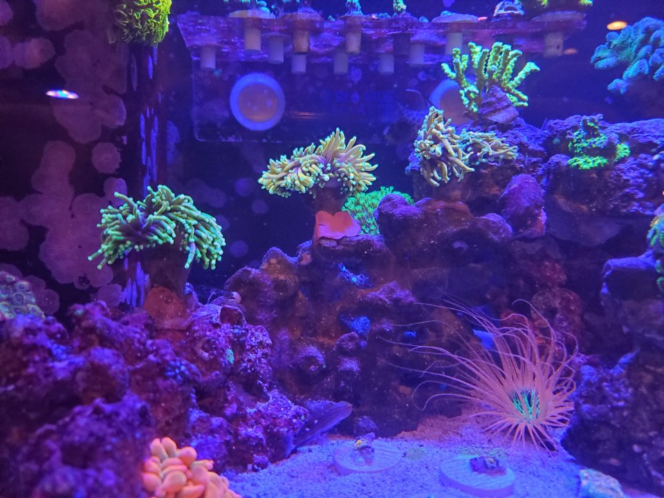 20210217_202434.jpg