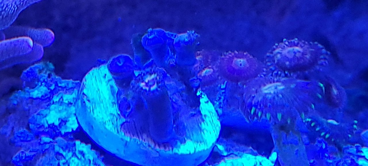 20210220_193851.jpg