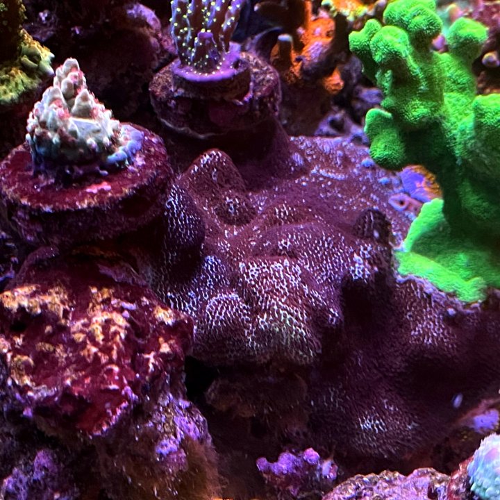 20210303_222338.jpg