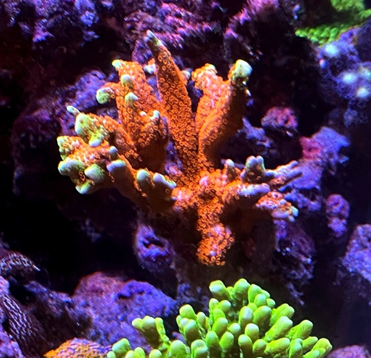 20210303_222901.jpg