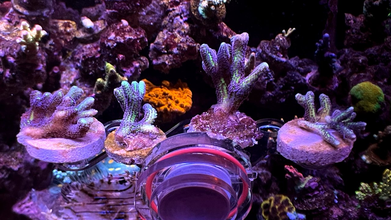20210303_223101.jpg