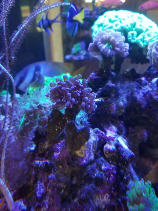20210306_123633.jpg