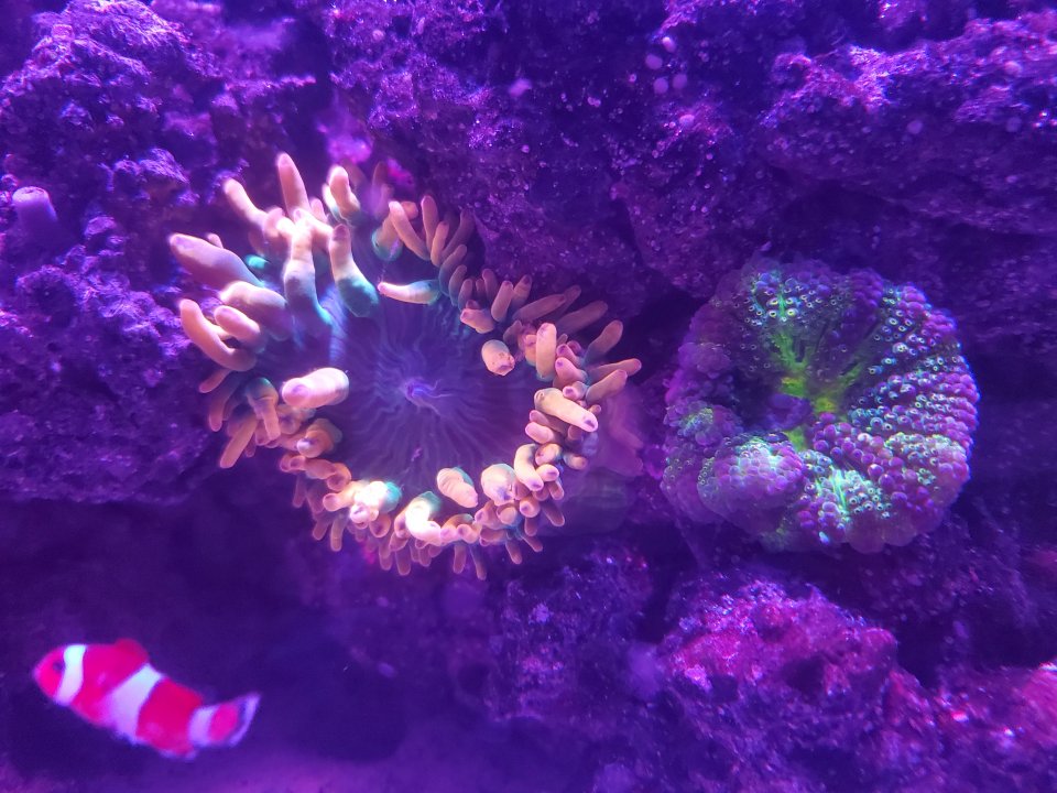 20210307_214504.jpg