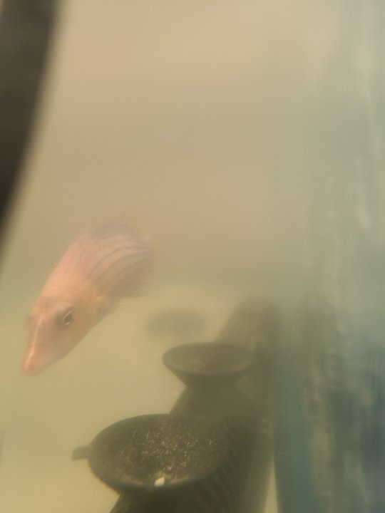 20210310_201457.jpg