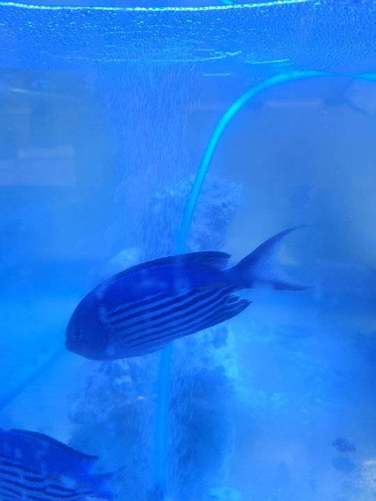 20210310_201941.jpg