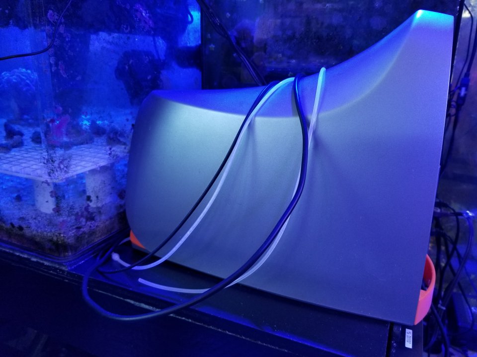20210313_131832.jpg