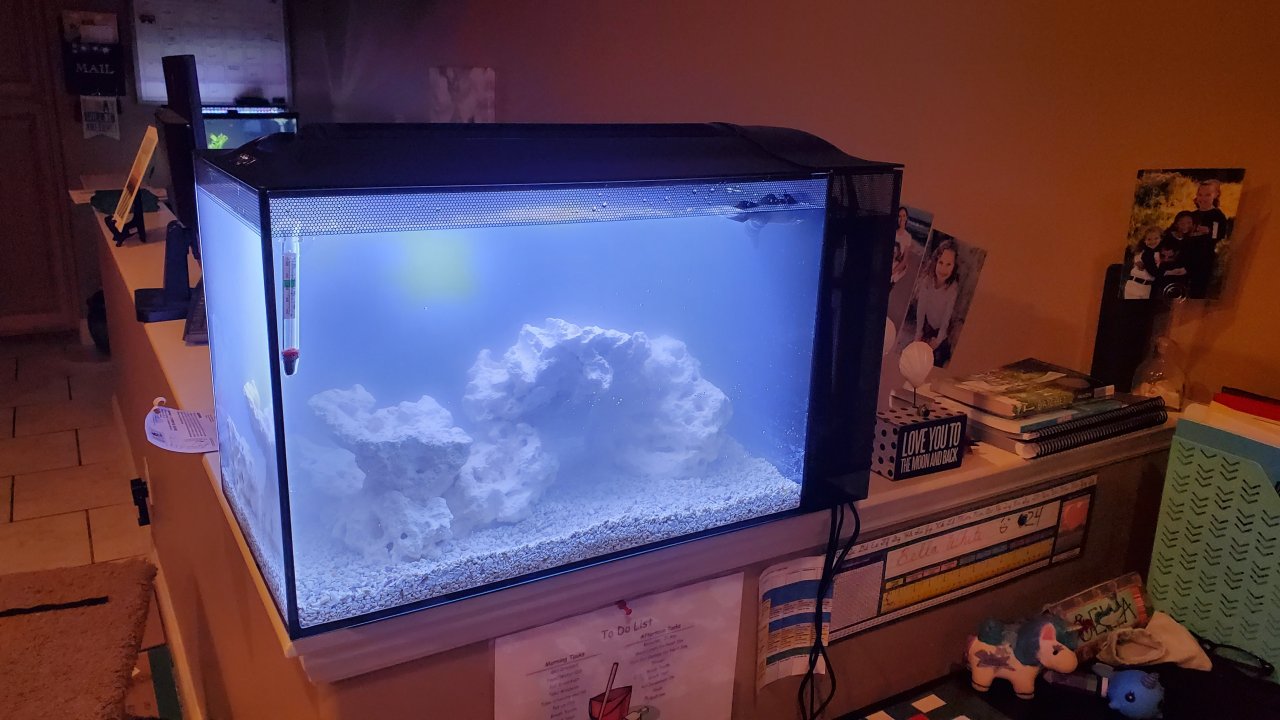 20210313_201212.jpg