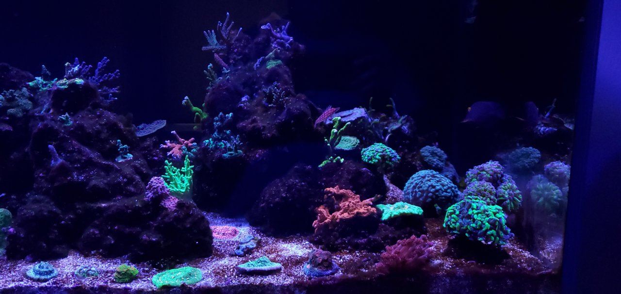 20210314_152432.jpg