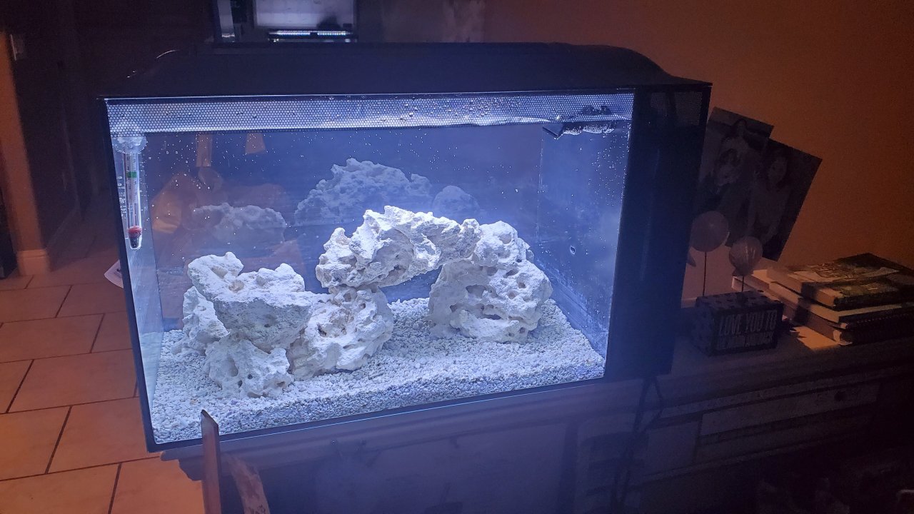 20210314_193441.jpg