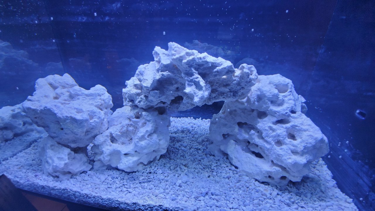 20210314_193505.jpg