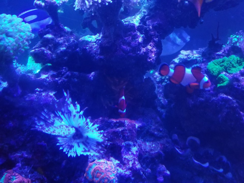 20210315_205846.jpg