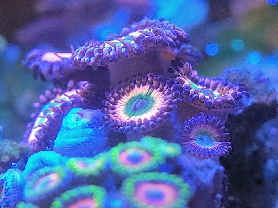 20210315_212458.jpg