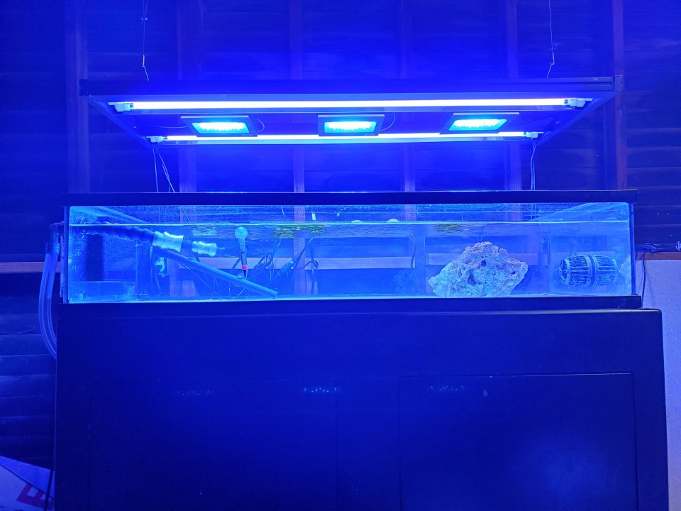 20210316_195909.jpg