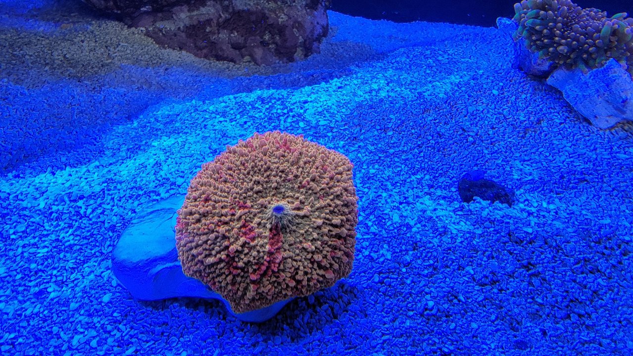 20210317_171558.jpg