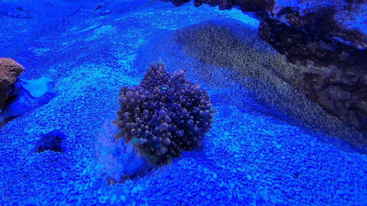 20210317_171605.jpg