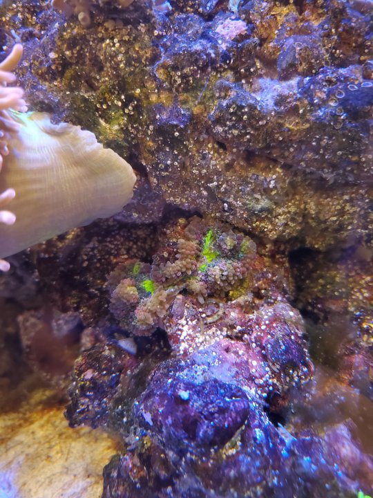 20210324_224413.jpg