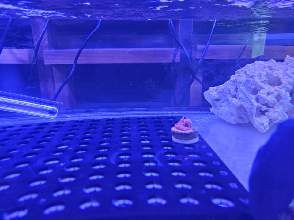 20210328_111451.jpg